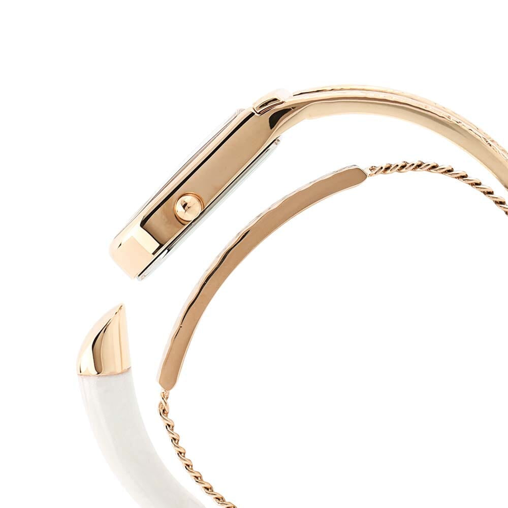 Titan Raga Espana Brillo by Titan Mother of Pearl Dial Analog Watch for Women 95053WM01