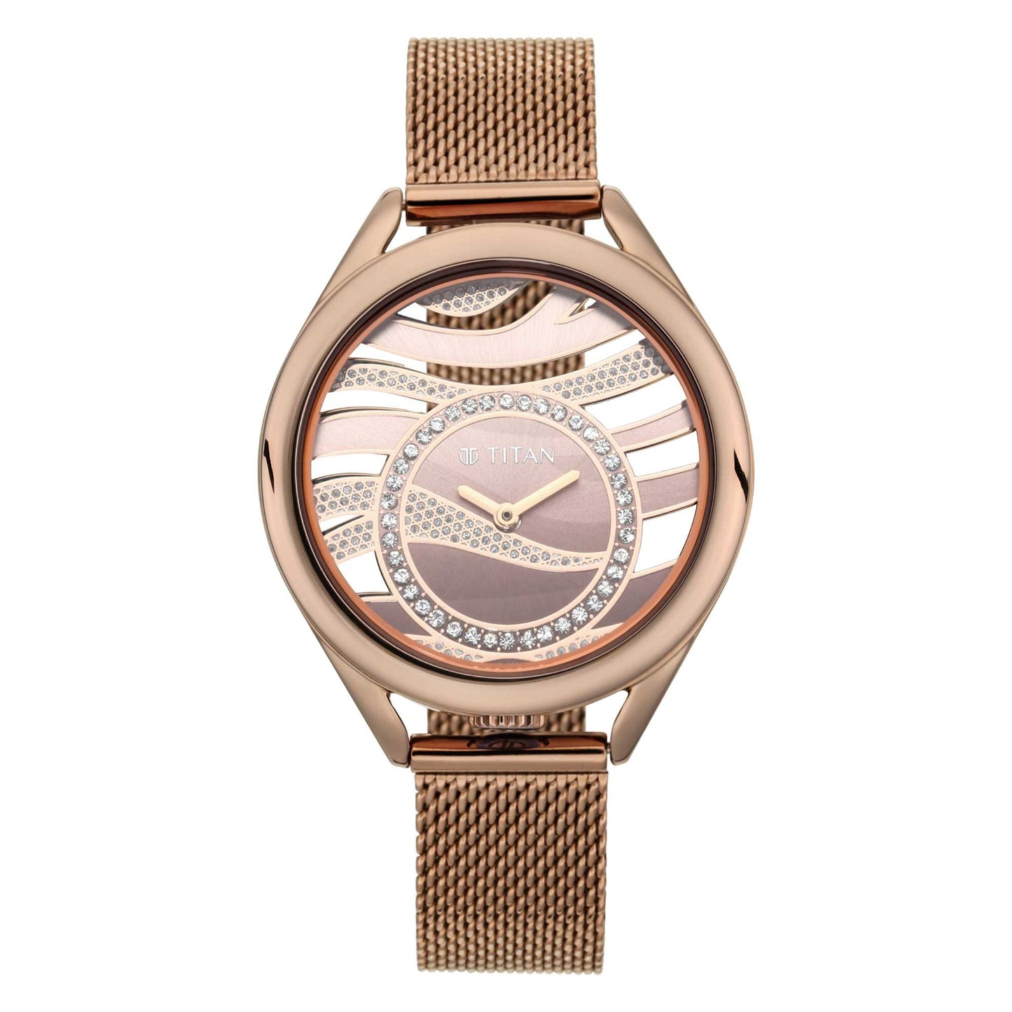 Titan Animalia Quartz Analog Dial Brown Stainless Steel Strap Watch For Women 95130QM01