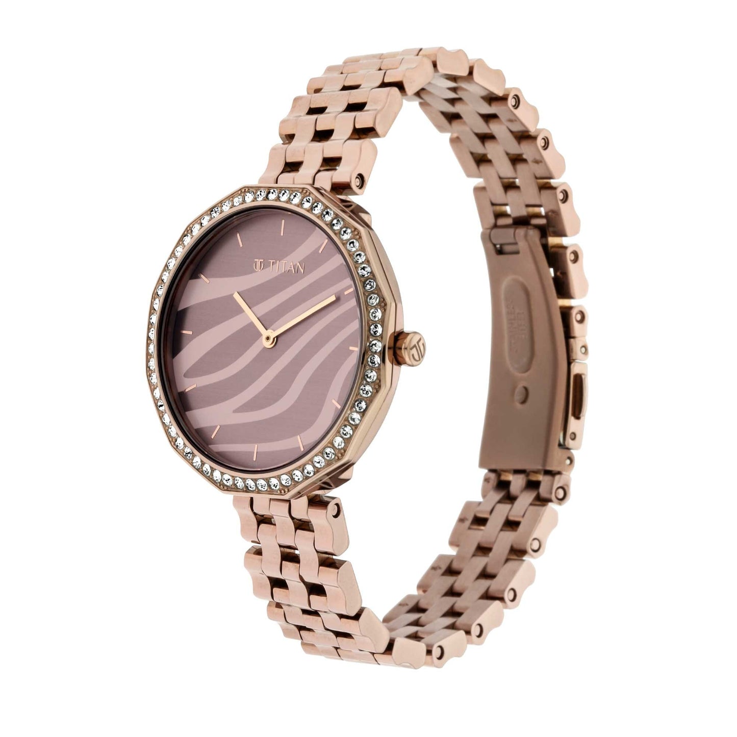 Titan Animalia Multicoloured Dial Quartz Analog Stainless Steel Strap Watch for Women 95132QM01