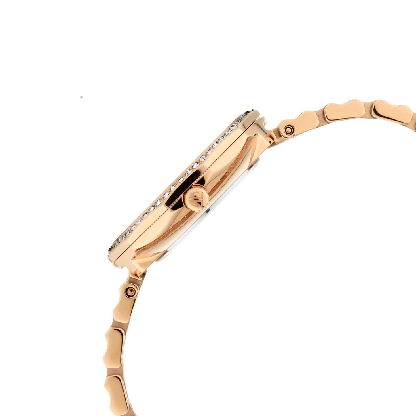 Titan Animalia Rose Gold Dial Quartz Analog Stainless Steel Strap Watch for Women